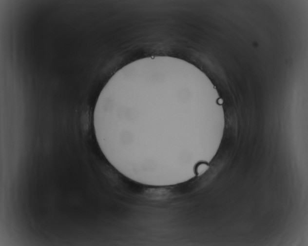 X0000100500133200806130737