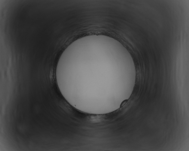 X0000100500134200806130737