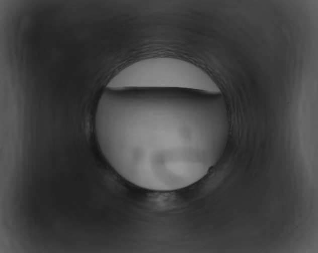 X0000100500135200806130737