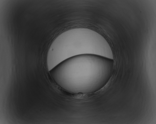 X0000100500136200806130737