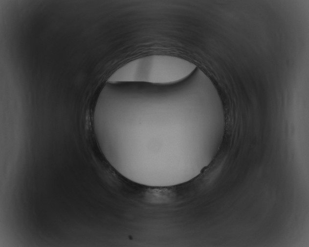 X0000100500137200806130737