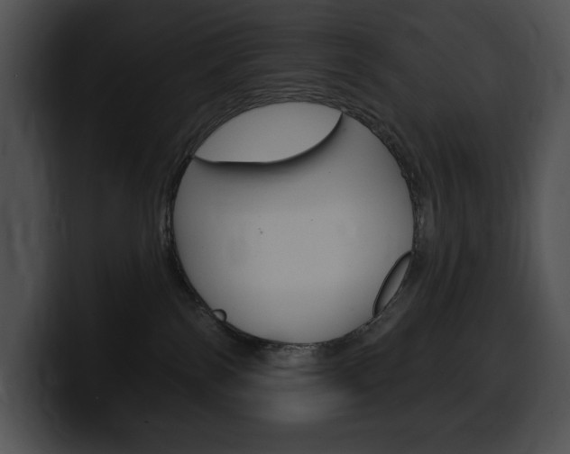 X0000100500138200806130737