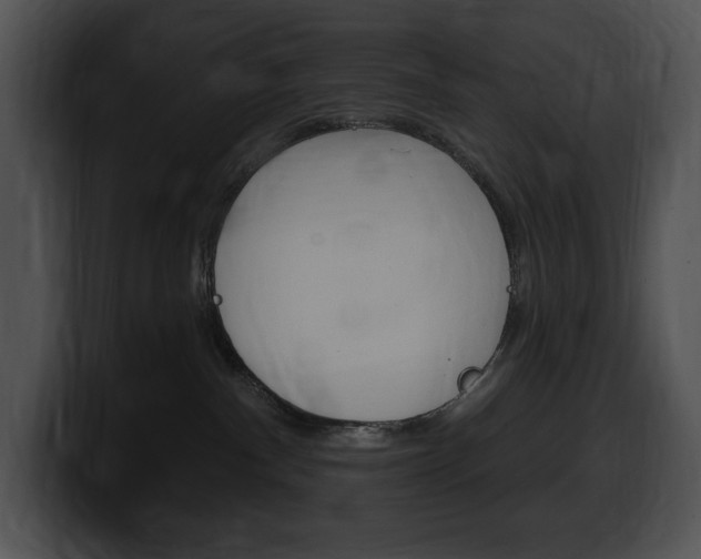 X0000100500140200806130737