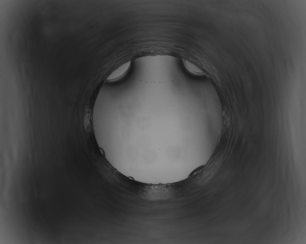 X0000100500141200806130737