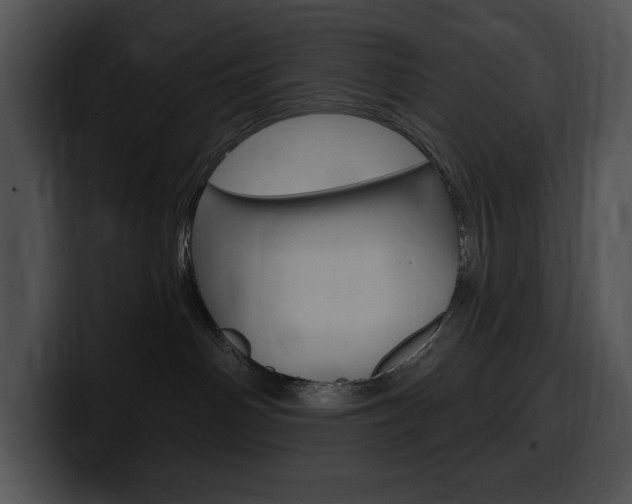 X0000100500142200806130737