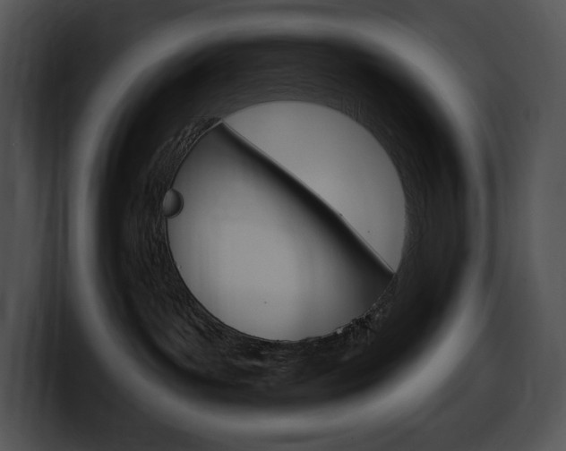 X0000100500143200806130737