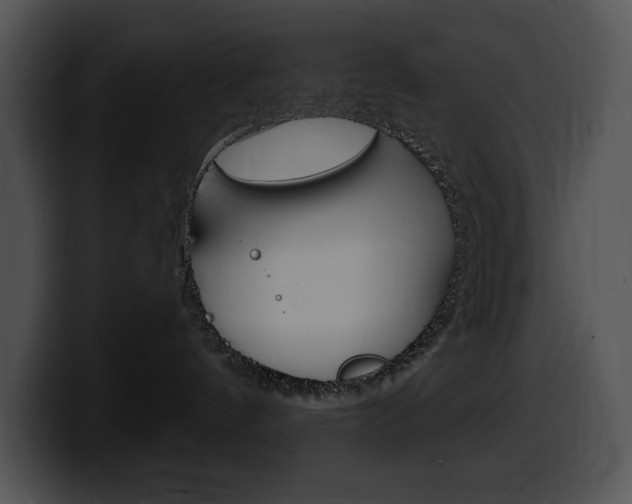 X0000100500144200806130737