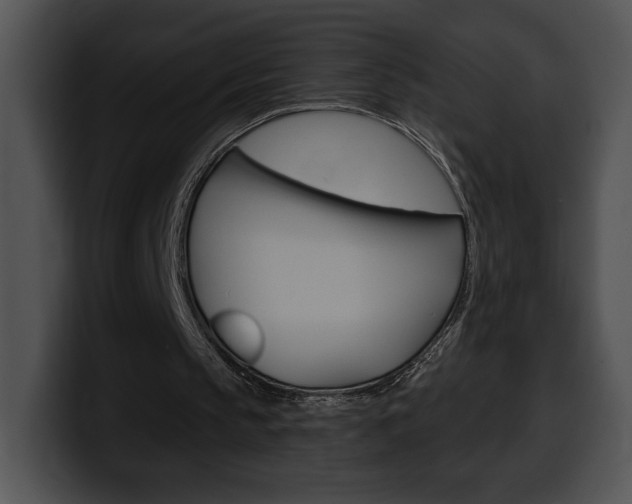 X0000100500145200806130736