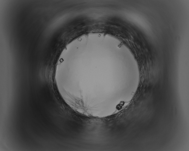 X0000100500146200806130736