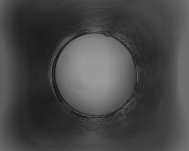 X0000100500147200806130736