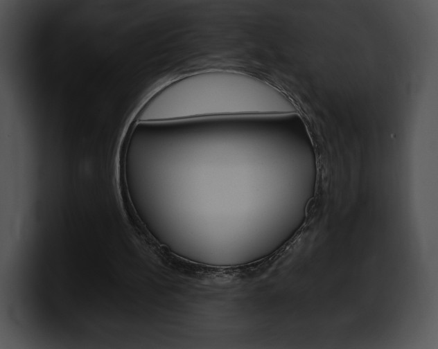 X0000100500148200806130736