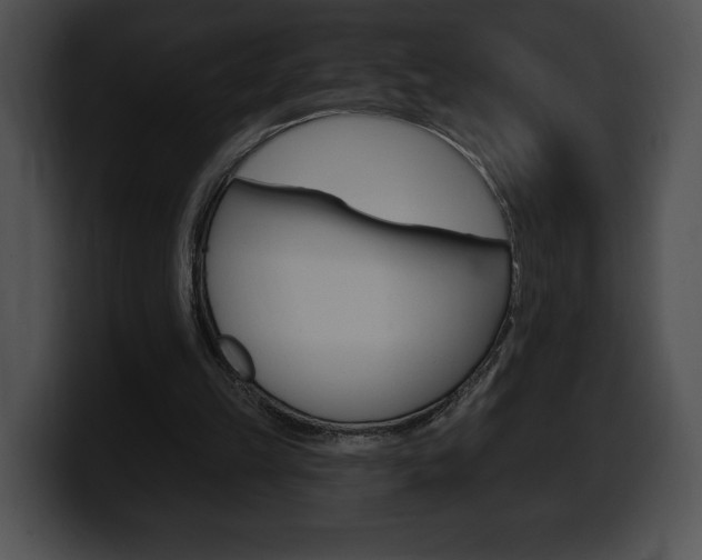 X0000100500149200806130736