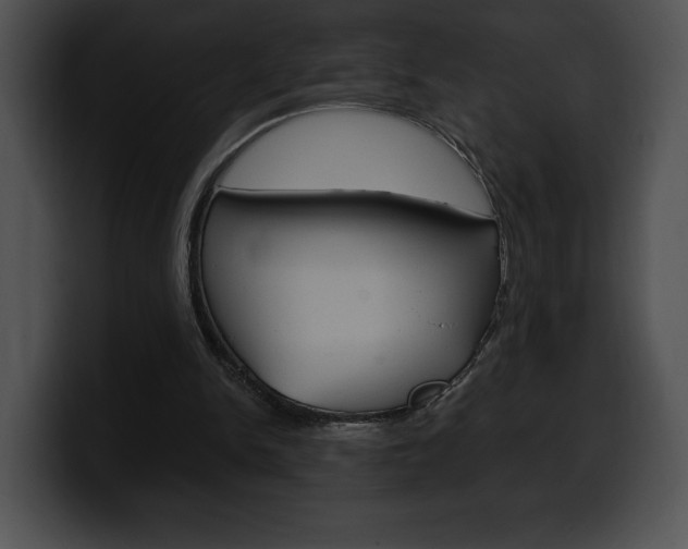 X0000100500150200806130736