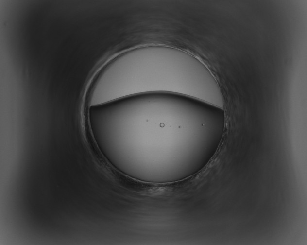 X0000100500152200806130736