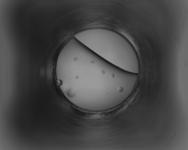 X0000100500153200806130736