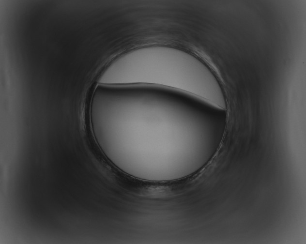 X0000100500154200806130736