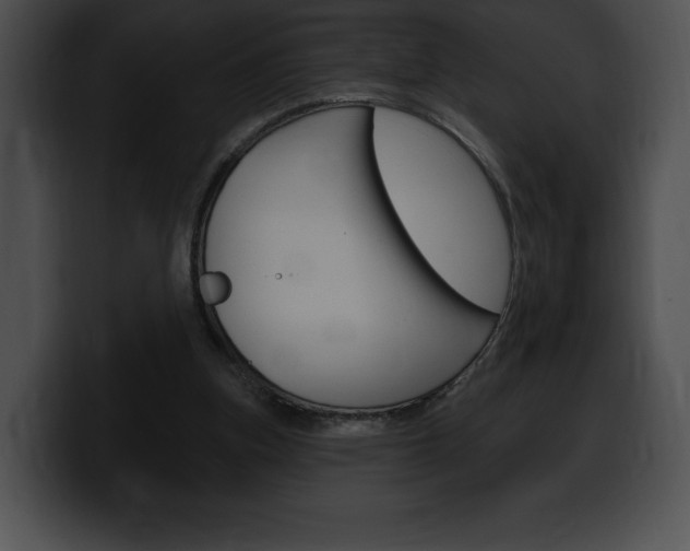 X0000100500155200806130736