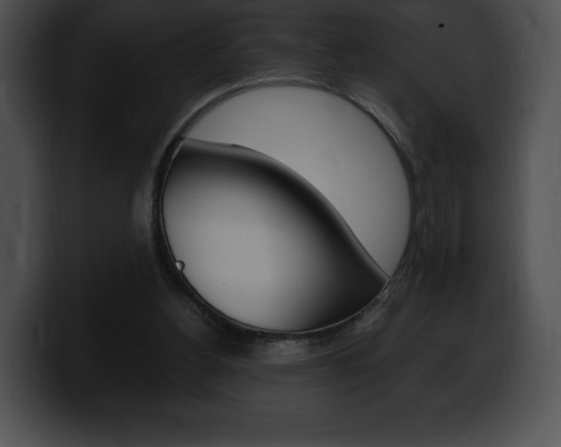 X0000100500156200806130736