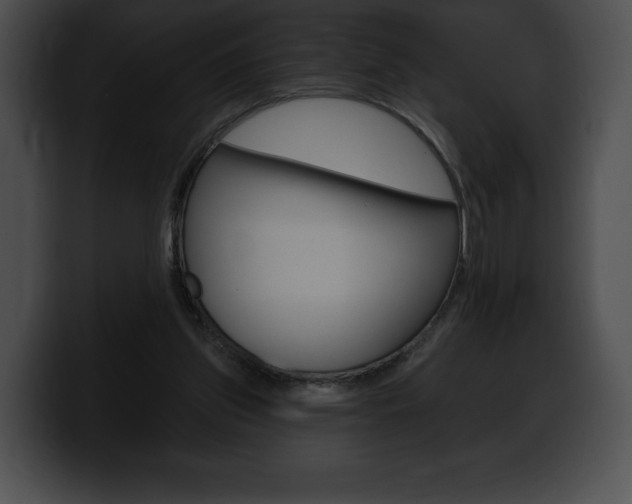 X0000100500157200806130736