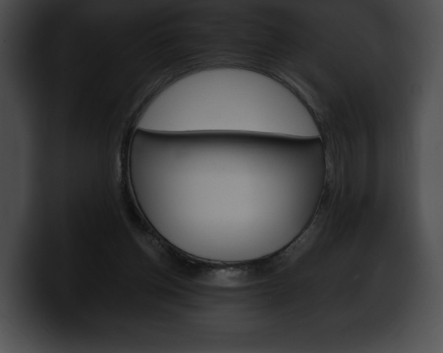 X0000100500158200806130736