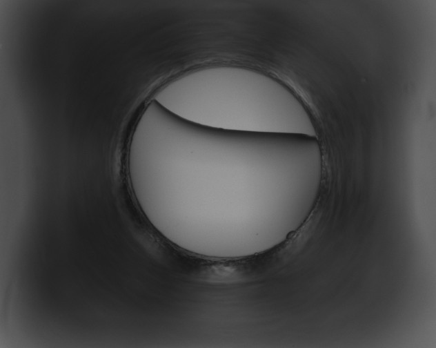 X0000100500159200806130736