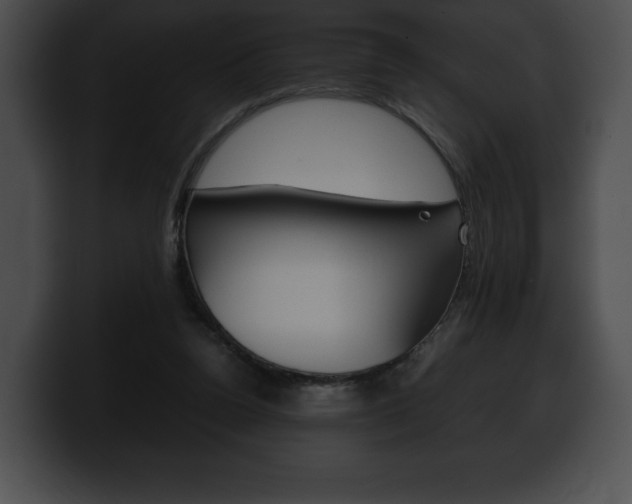 X0000100500160200806130736