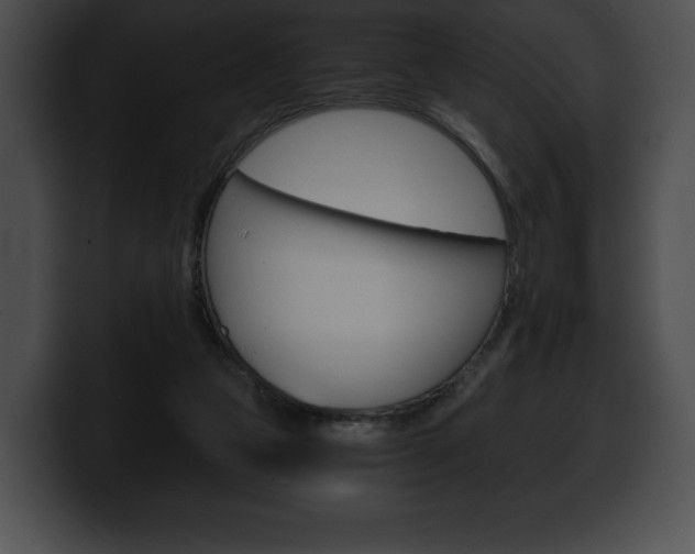 X0000100500161200806130736