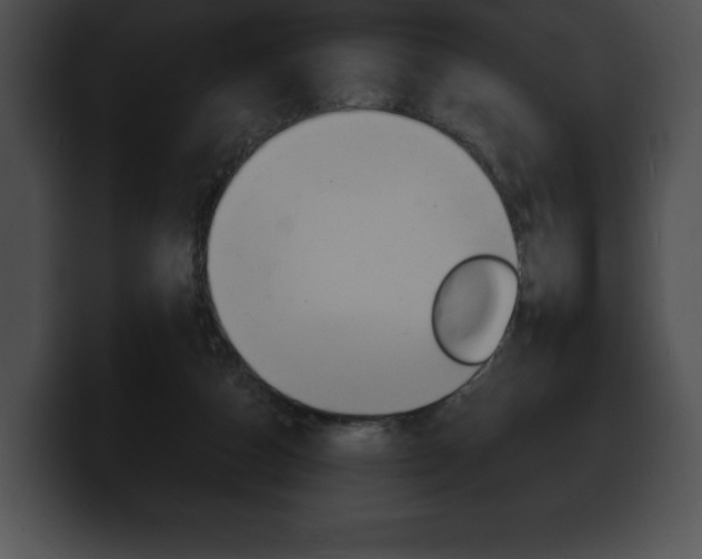 X0000100500162200806130736