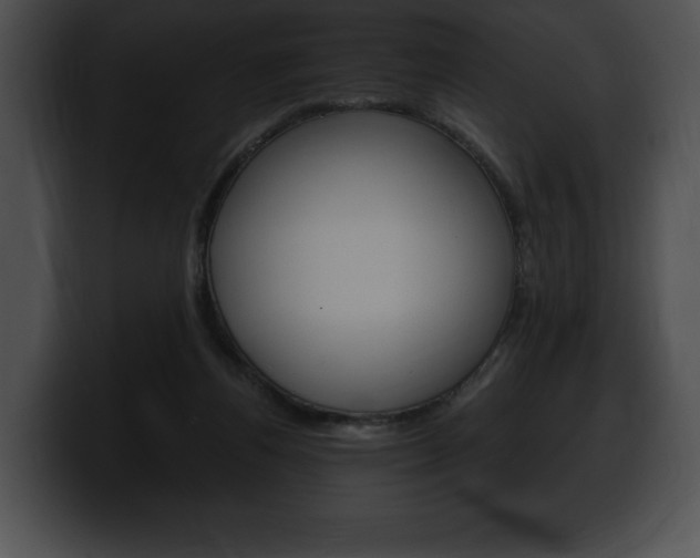 X0000100500164200806130736