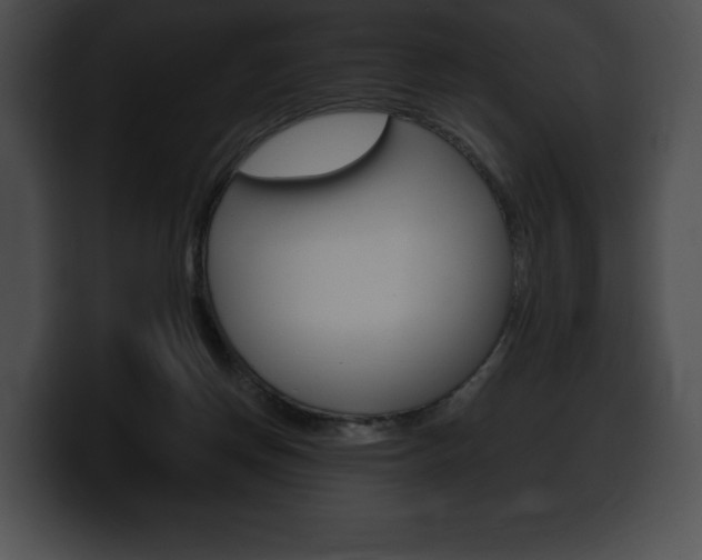 X0000100500166200806130736