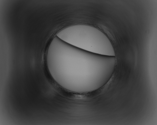 X0000100500167200806130736