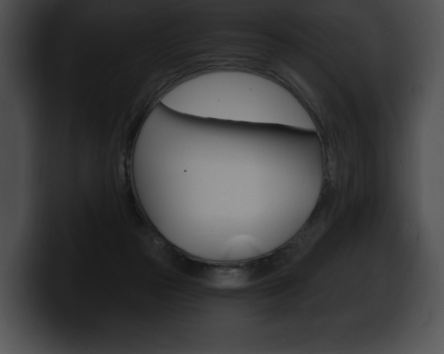 X0000100500169200806130737