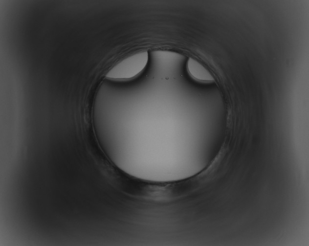 X0000100500170200806130737