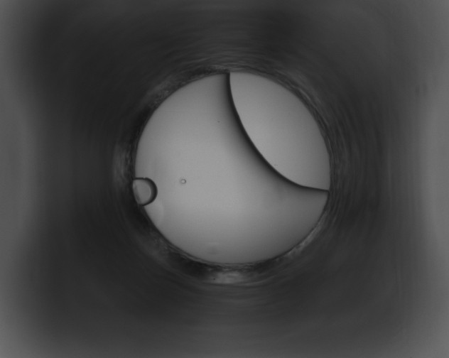 X0000100500171200806130737