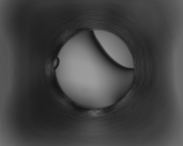 X0000100500172200806130737