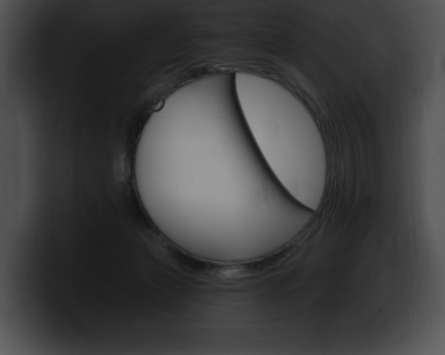 X0000100500173200806130737