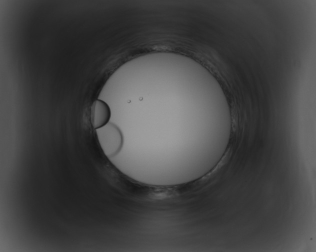 X0000100500175200806130737