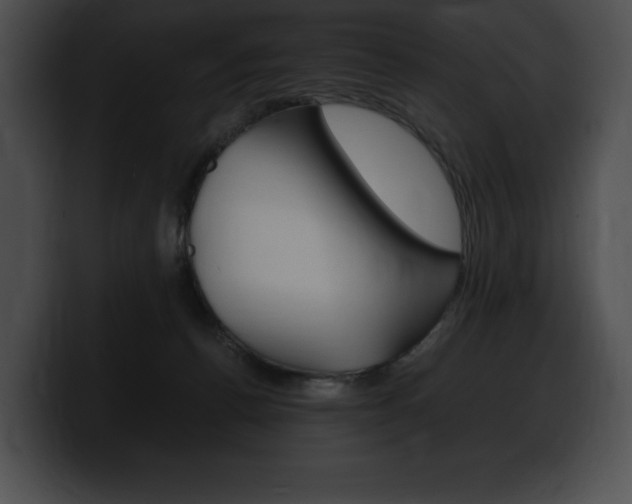 X0000100500176200806130737