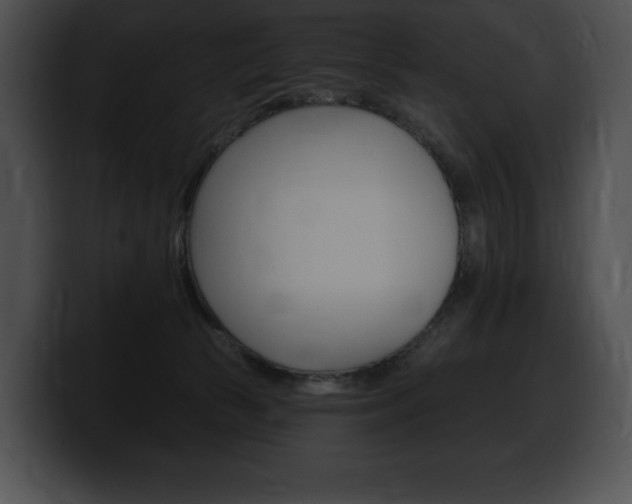 X0000100500177200806130737