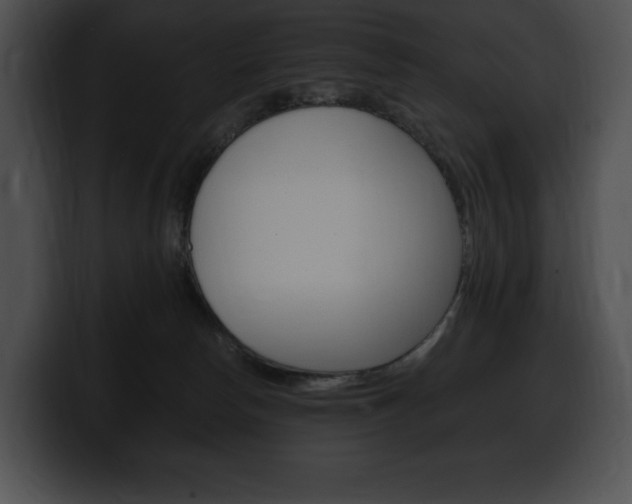 X0000100500178200806130737