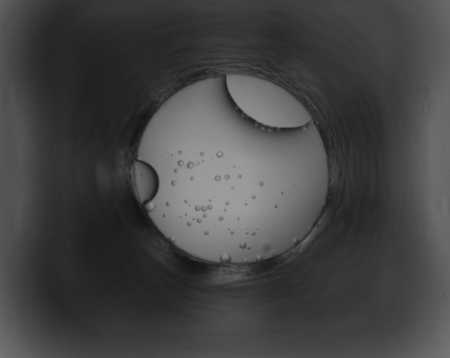 X0000100500179200806130737