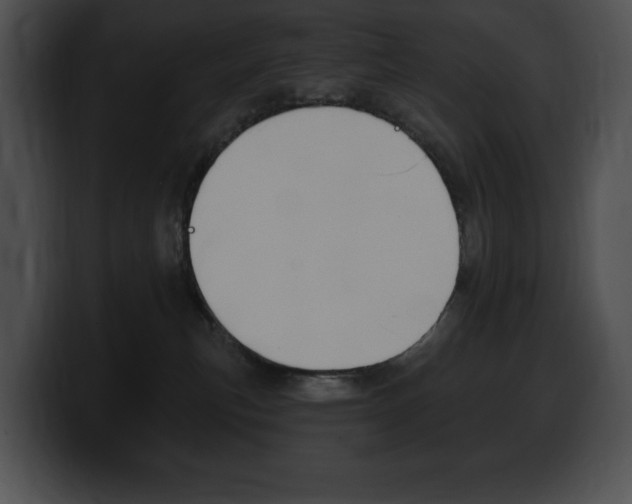 X0000100500183200806130737