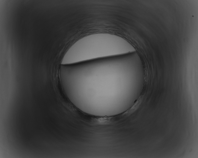 X0000100500184200806130737