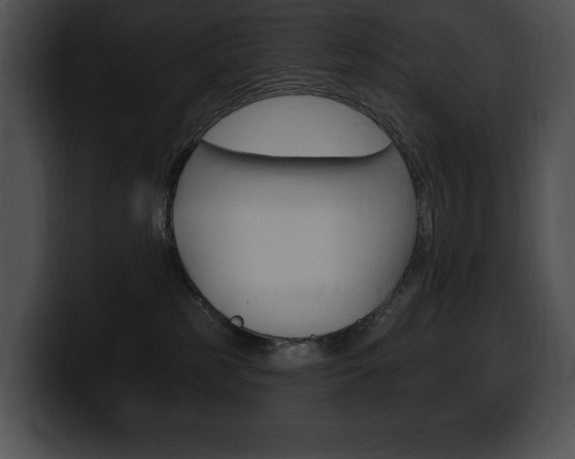 X0000100500185200806130737