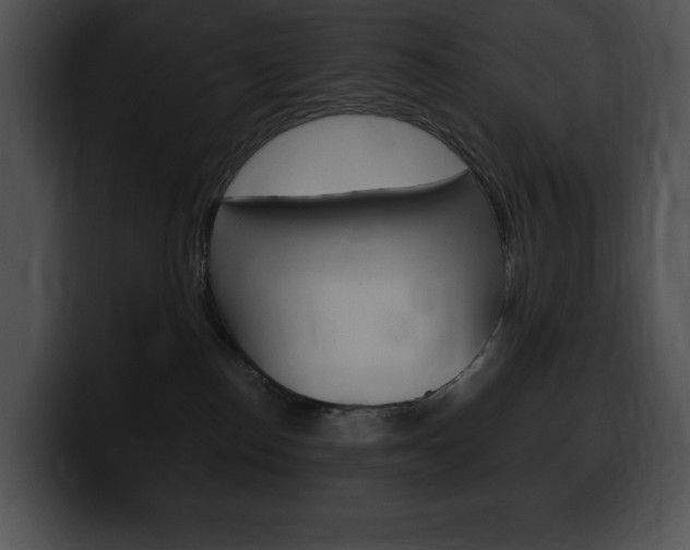 X0000100500186200806130737