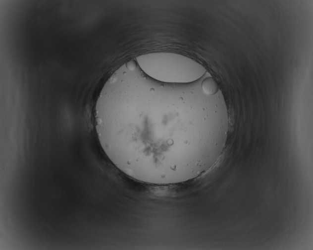 X0000100500187200806130737