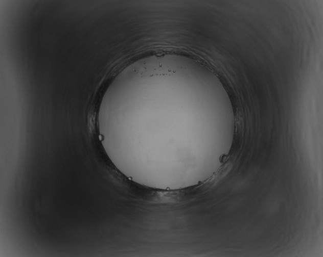 X0000100500188200806130737