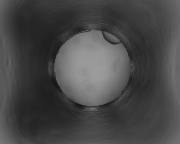 X0000100500189200806130737