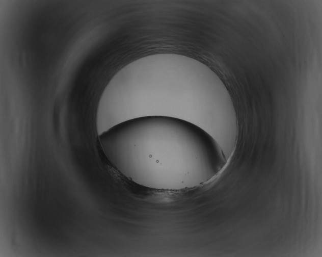 X0000100500190200806130737