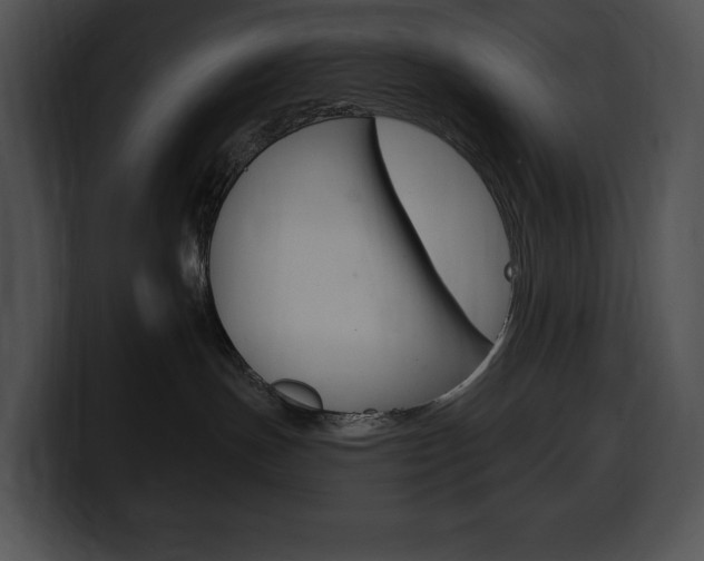 X0000100500191200806130737